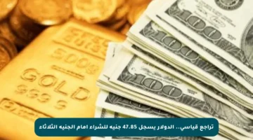 تراجع قياسي.. الدولار يسجل 47.85 جنيه للشراء أمام الجنيه الثلاثاء